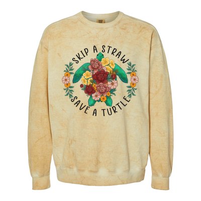 Skip A Straw Save A Turtle Art Happy Earth Day Colorblast Crewneck Sweatshirt