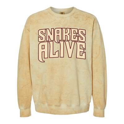 Snakes Alive Colorblast Crewneck Sweatshirt