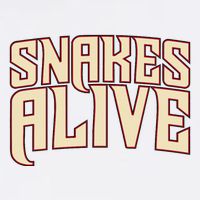 Snakes Alive Button