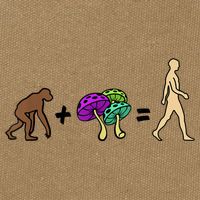 Stoned Ape Theory Psychedelic Magic Mushroom Monkey Cotton Canvas Backpack