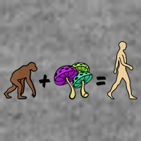 Stoned Ape Theory Psychedelic Magic Mushroom Monkey Tall Hoodie