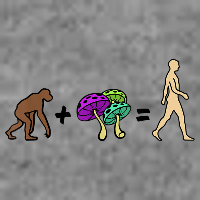 Stoned Ape Theory Psychedelic Magic Mushroom Monkey Tall Hoodie