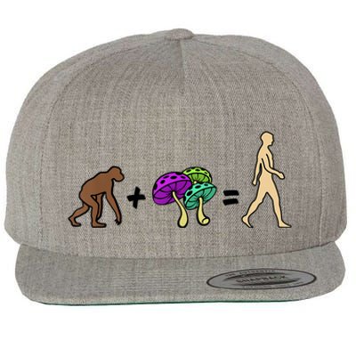 Stoned Ape Theory Psychedelic Magic Mushroom Monkey Wool Snapback Cap