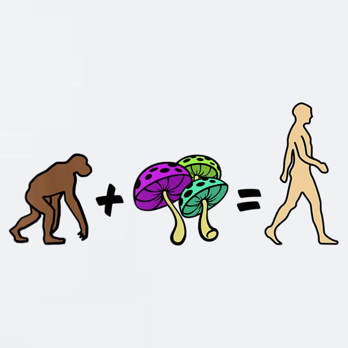 Stoned Ape Theory Psychedelic Magic Mushroom Monkey Sueded Cloud Jersey T-Shirt