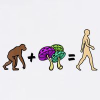 Stoned Ape Theory Psychedelic Magic Mushroom Monkey Toddler T-Shirt