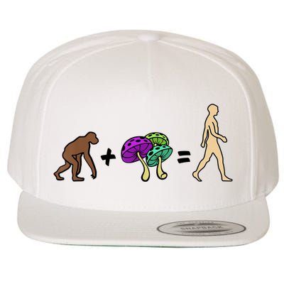 Stoned Ape Theory Psychedelic Magic Mushroom Monkey Wool Snapback Cap