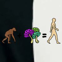 Stoned Ape Theory Psychedelic Magic Mushroom Monkey Infant Baby Jersey Bodysuit