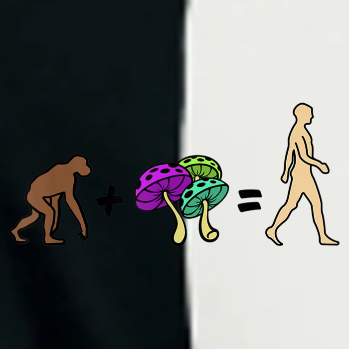 Stoned Ape Theory Psychedelic Magic Mushroom Monkey Infant Baby Jersey Bodysuit