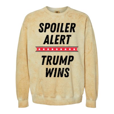 Spoiler Alert Trump Wins 2024 Presidential Election Colorblast Crewneck Sweatshirt