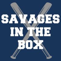 Savages In The Box Baseball Bats Women's V-Neck T-Shirt
