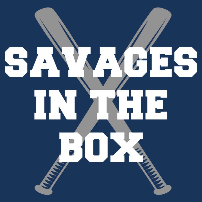 Savages In The Box Baseball Bats Women's V-Neck T-Shirt