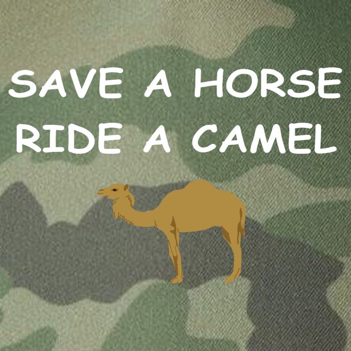 Save A Horse Ride A Camel Funny Legacy Tie Dye Trucker Hat
