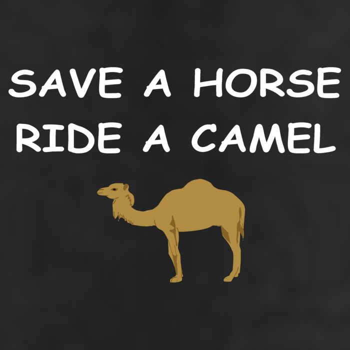 Save A Horse Ride A Camel Funny Cool Comfort Performance Bucket Hat