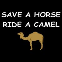 Save A Horse Ride A Camel Funny 7-Panel Snapback Hat