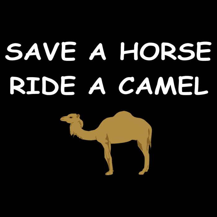 Save A Horse Ride A Camel Funny 7-Panel Snapback Hat