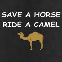 Save A Horse Ride A Camel Funny 15oz Campfire Ceramic Mug