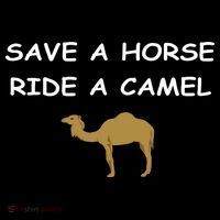 Save A Horse Ride A Camel Funny Flatbill Hat