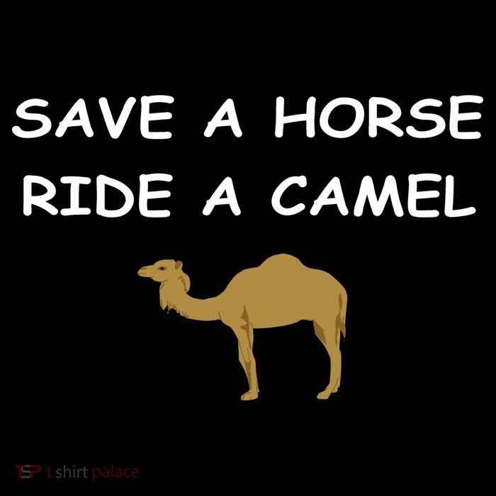 Save A Horse Ride A Camel Funny Sustainable Beanie