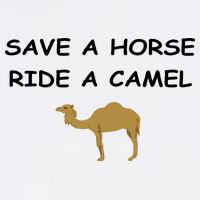 Save A Horse Ride A Camel Funny Garment-Dyed Sweatshirt