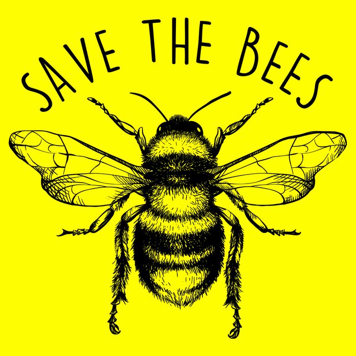 Save The Bees Vintage Womens T-Shirt