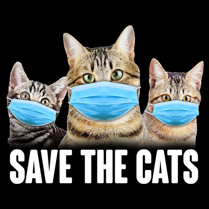 Save The Cats Face Mask Pandemic Toddler T-Shirt