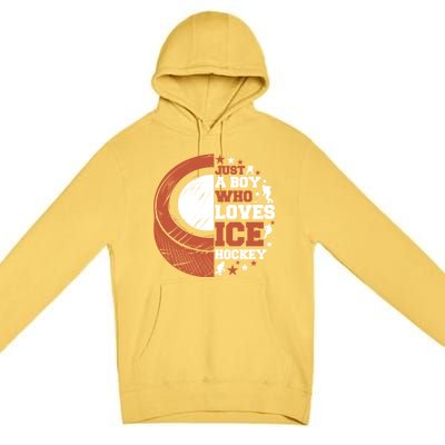 Sport A Who Loves Ice Hockey Funny Gift Premium Pullover Hoodie