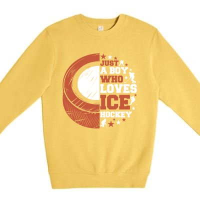 Sport A Who Loves Ice Hockey Funny Gift Premium Crewneck Sweatshirt