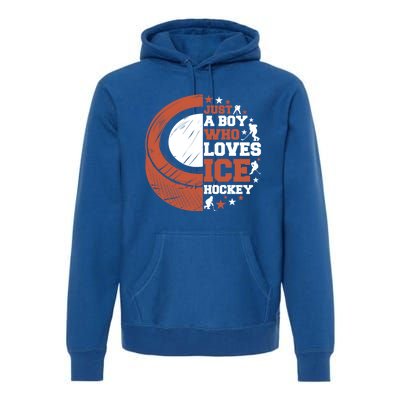 Sport A Who Loves Ice Hockey Funny Gift Premium Hoodie