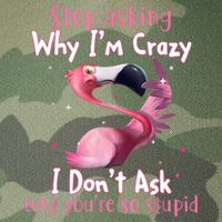 Stop Asking Why I'm Crazy I Don't Ask Why You're So Stupid Funny Legacy Tie Dye Trucker Hat