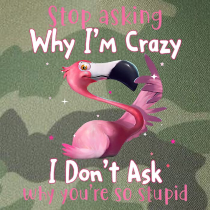 Stop Asking Why I'm Crazy I Don't Ask Why You're So Stupid Funny Legacy Tie Dye Trucker Hat