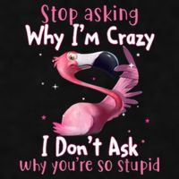 Stop Asking Why I'm Crazy I Don't Ask Why You're So Stupid Funny Ladies PosiCharge Tri-Blend Wicking Tank