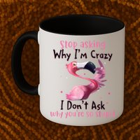 Stop Asking Why I'm Crazy I Don't Ask Why You're So Stupid Funny Mug