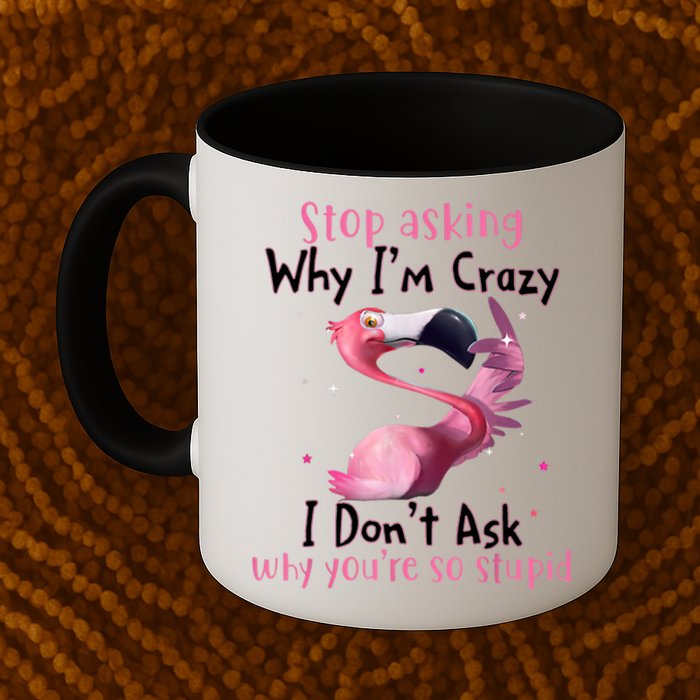 Stop Asking Why I'm Crazy I Don't Ask Why You're So Stupid Funny Mug