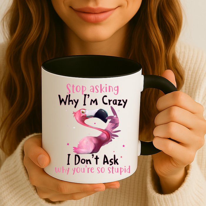 Stop Asking Why I'm Crazy I Don't Ask Why You're So Stupid Funny Mug