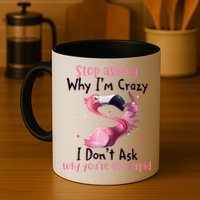 Stop Asking Why I'm Crazy I Don't Ask Why You're So Stupid Funny Mug