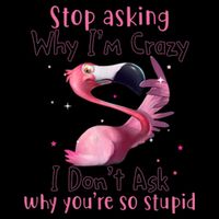 Stop Asking Why I'm Crazy I Don't Ask Why You're So Stupid Funny Mug