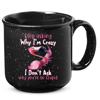 Stop Asking Why I'm Crazy I Don't Ask Why You're So Stupid Funny 15oz Campfire Ceramic Mug