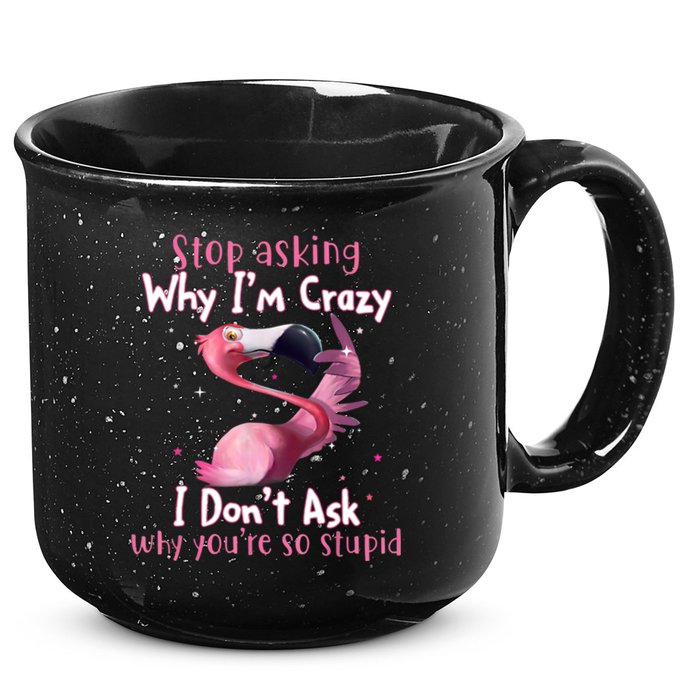 Stop Asking Why I'm Crazy I Don't Ask Why You're So Stupid Funny 15oz Campfire Ceramic Mug