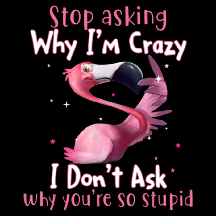 Stop Asking Why I'm Crazy I Don't Ask Why You're So Stupid Funny Drawstring Bag