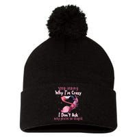 Stop Asking Why I'm Crazy I Don't Ask Why You're So Stupid Funny Pom Pom 12in Knit Beanie