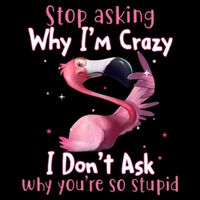 Stop Asking Why I'm Crazy I Don't Ask Why You're So Stupid Funny Visor
