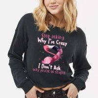 Stop Asking Why I'm Crazy I Don't Ask Why You're So Stupid Funny Cropped Pullover Crew