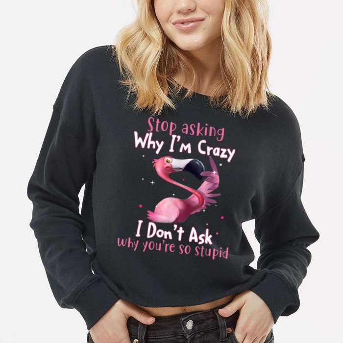 Stop Asking Why I'm Crazy I Don't Ask Why You're So Stupid Funny Cropped Pullover Crew