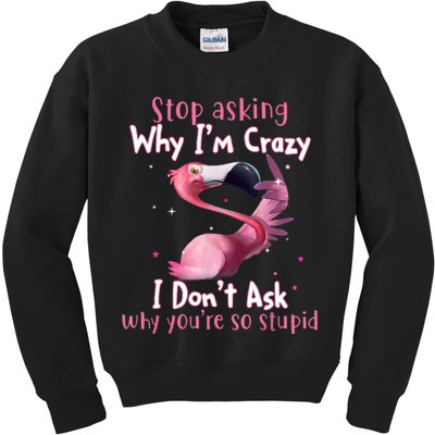 Stop Asking Why I'm Crazy I Don't Ask Why You're So Stupid Funny Kids Sweatshirt