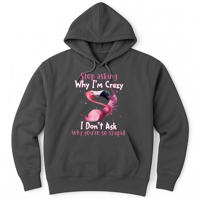 Stop Asking Why I'm Crazy I Don't Ask Why You're So Stupid Funny Hoodie
