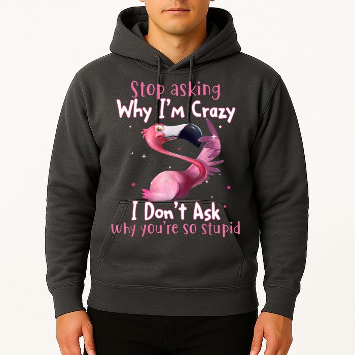 Stop Asking Why I'm Crazy I Don't Ask Why You're So Stupid Funny Hoodie