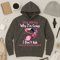 Stop Asking Why I'm Crazy I Don't Ask Why You're So Stupid Funny Hoodie
