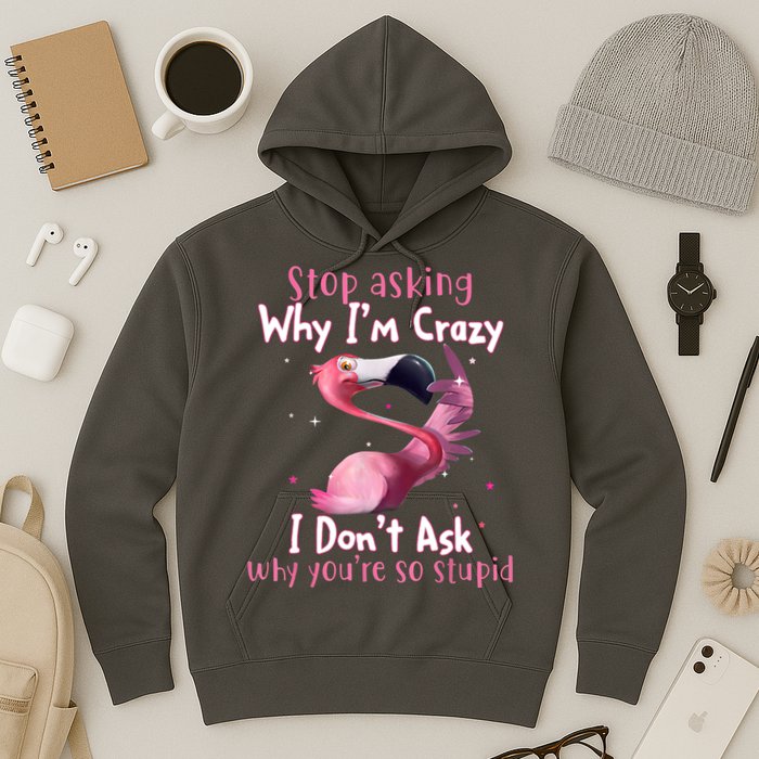 Stop Asking Why I'm Crazy I Don't Ask Why You're So Stupid Funny Hoodie