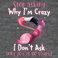 Stop Asking Why I'm Crazy I Don't Ask Why You're So Stupid Funny Flatbill Hat