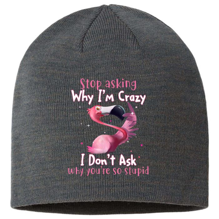 Stop Asking Why I'm Crazy I Don't Ask Why You're So Stupid Funny Sustainable Beanie